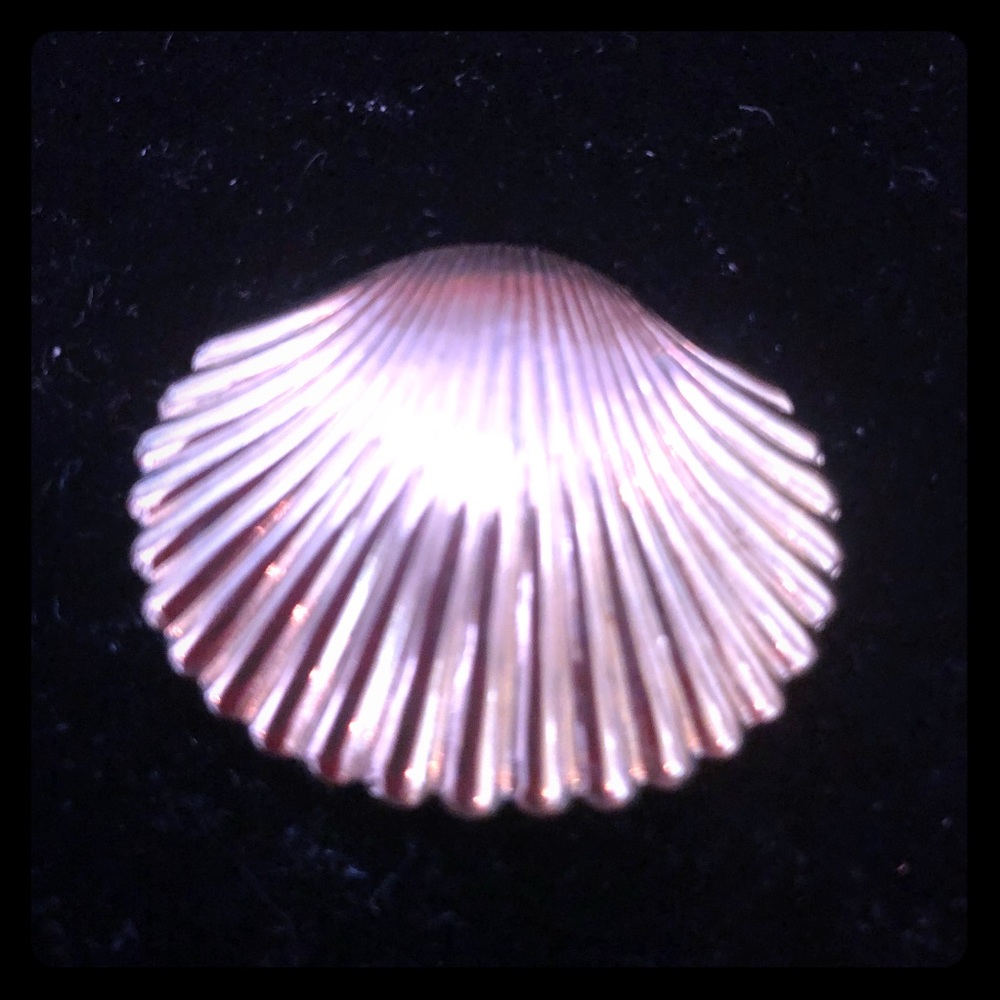 Gold tone shell pin